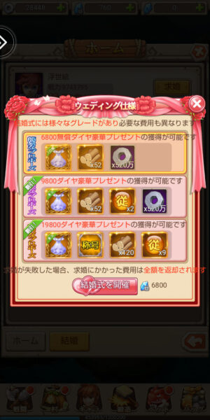 ぼくと恐竜の結婚内容画像