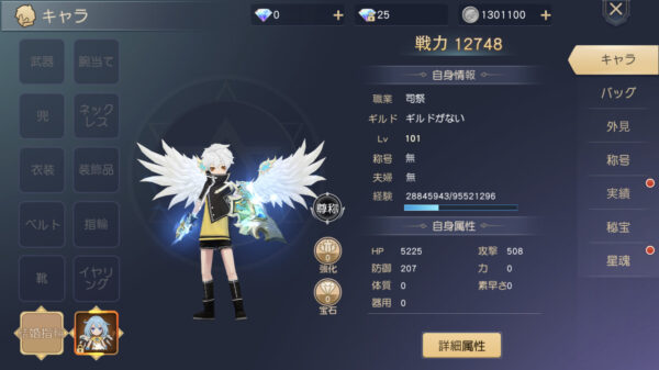 蒼空ファンタジー最強おすすめキャラクターランキング一覧!評価についても 司祭Lv.101