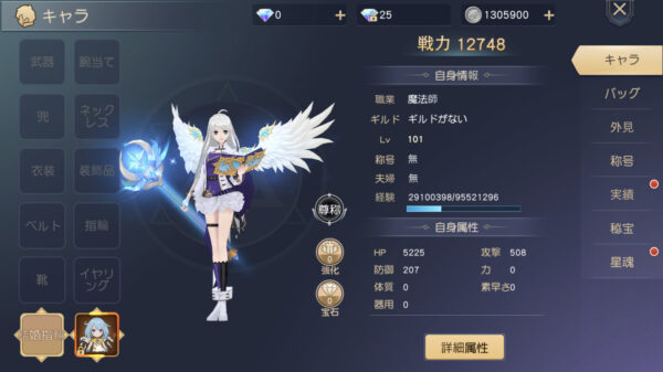 蒼空ファンタジー最強おすすめキャラクターランキング一覧!評価についても 魔法師Lv.101