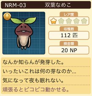 なめこ栽培キット 双葉なめこ