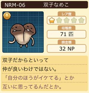 なめこ栽培キット 双子なめこ