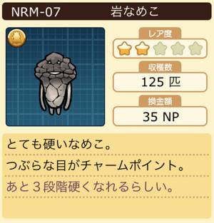 なめこ栽培キット 岩なめこ