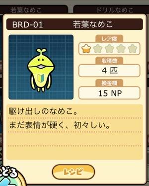 なめこ栽培キット 若葉なめこ