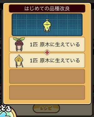 なめこ栽培キット 品種改良種
