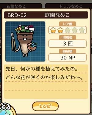 なめこ栽培キット 庭園なめこ