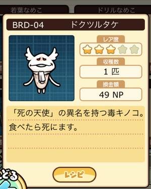 なめこ栽培キット ドクツルタケ