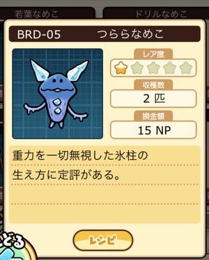 なめこ栽培キット つららなめこ