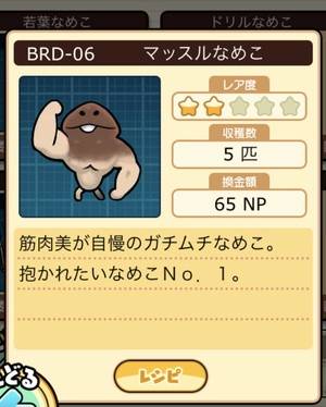 なめこ栽培キット マッスルなめこ