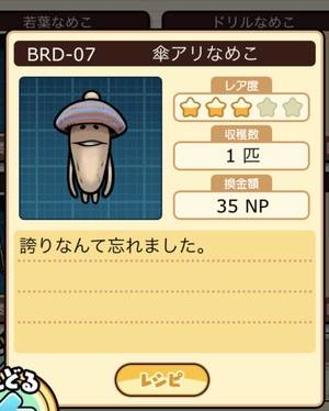 なめこ栽培キット 傘アリなめこ
