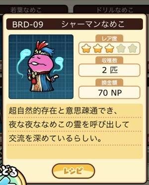 なめこ栽培キット シャーマンなめこ
